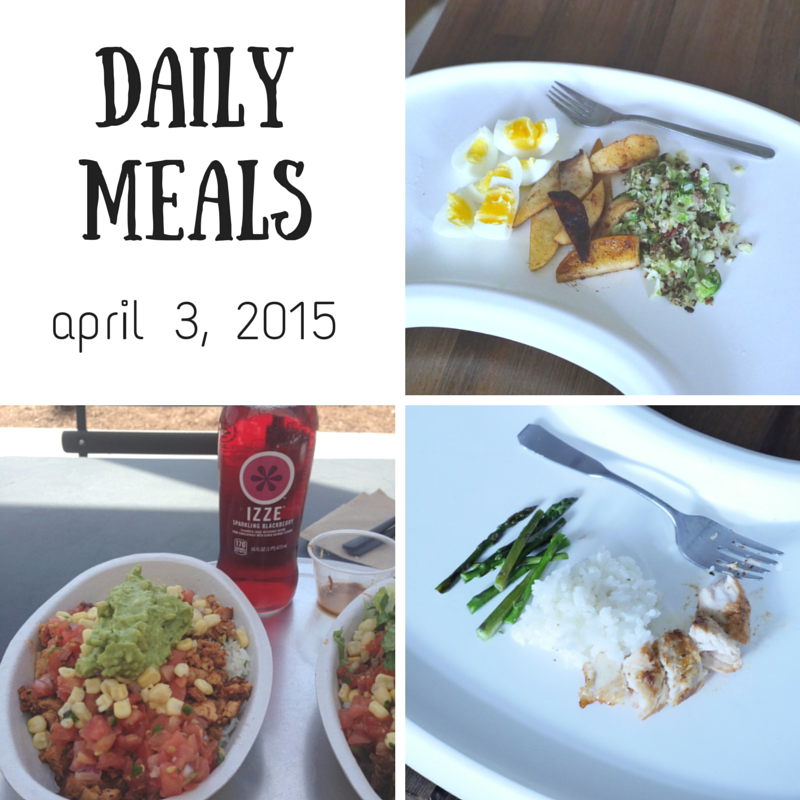 Daily Meals for April 3, 2015 - Bethany King